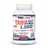 TRIBULUS 1000